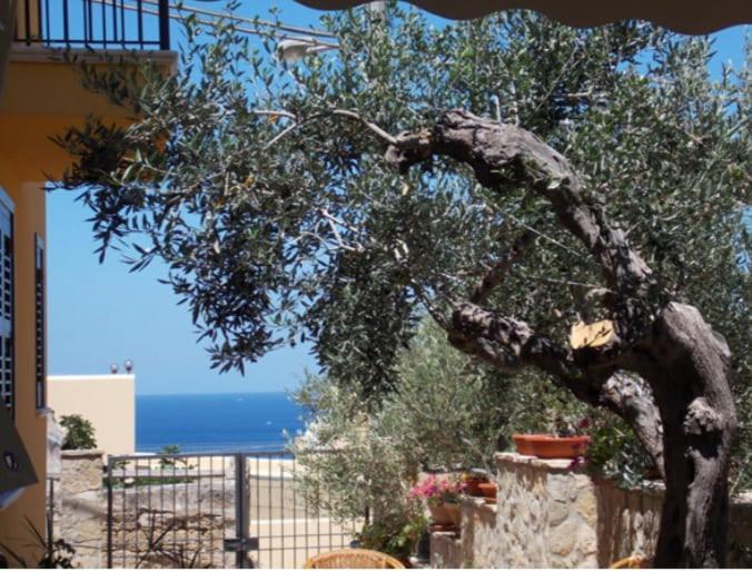 Modus B&B San Vito Lo Capo Ngoại thất bức ảnh