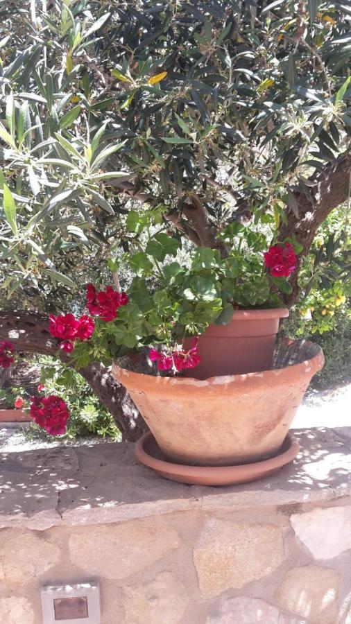 Modus B&B San Vito Lo Capo Ngoại thất bức ảnh